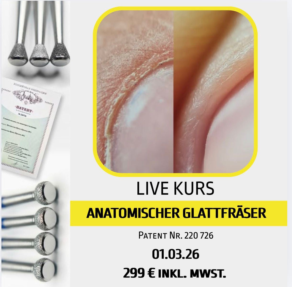 LIVE Kurs Anatomischer Glattfräser von Natalie Schleicher am 01.03.2026 in Mechernich in deutscher Sprache