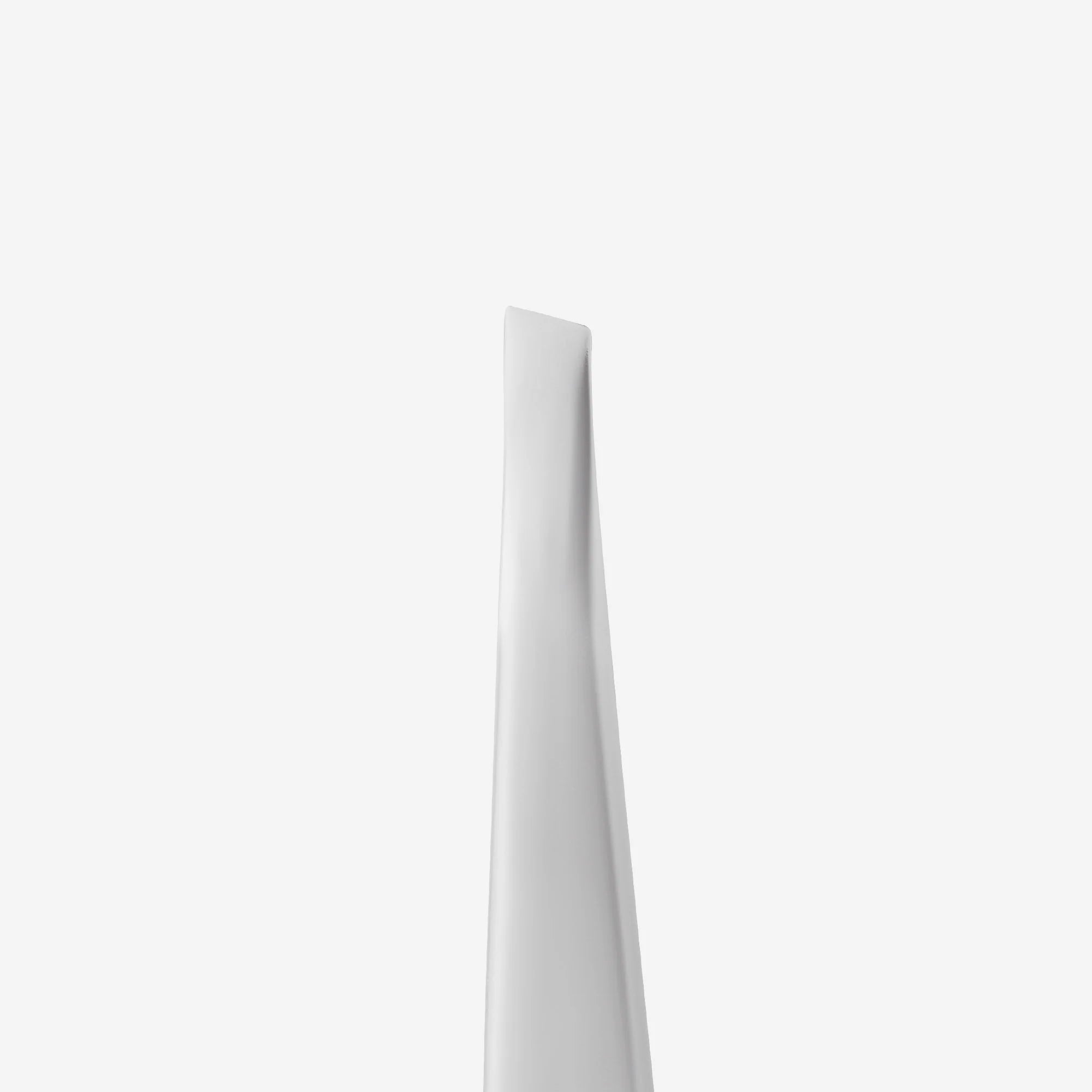 Pinzetta per sopracciglia TE-10/3 STALEKS EXPERT