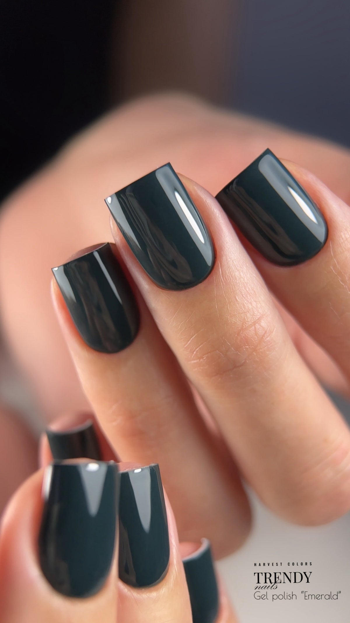 Коллекция гель-лаков Vintage Chic (5x8мл) от Trendy Nails