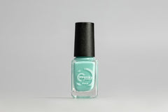 Stamping polish tiffani n. S24 di Swanky