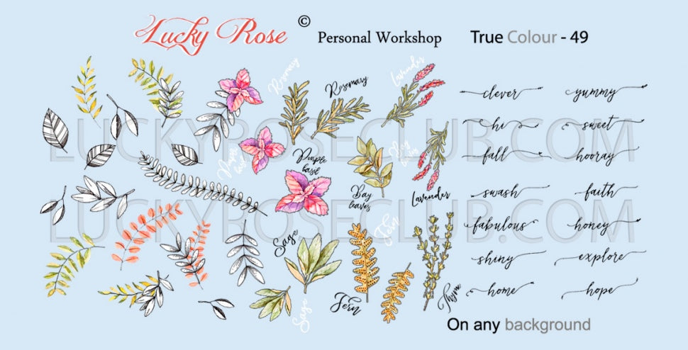 Sticker Design "True Colour" 49 (Wasserlösliche Aufkleber) Lucky Rose