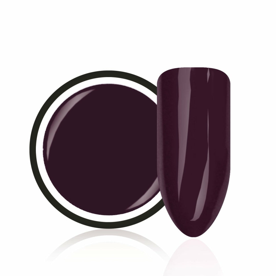 Gel color "Dark Plum" di Trendnails 5ml