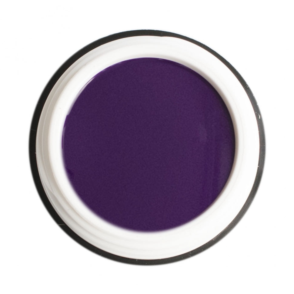 Farbgel von Mr. Stilett "Aubergine" 5ml