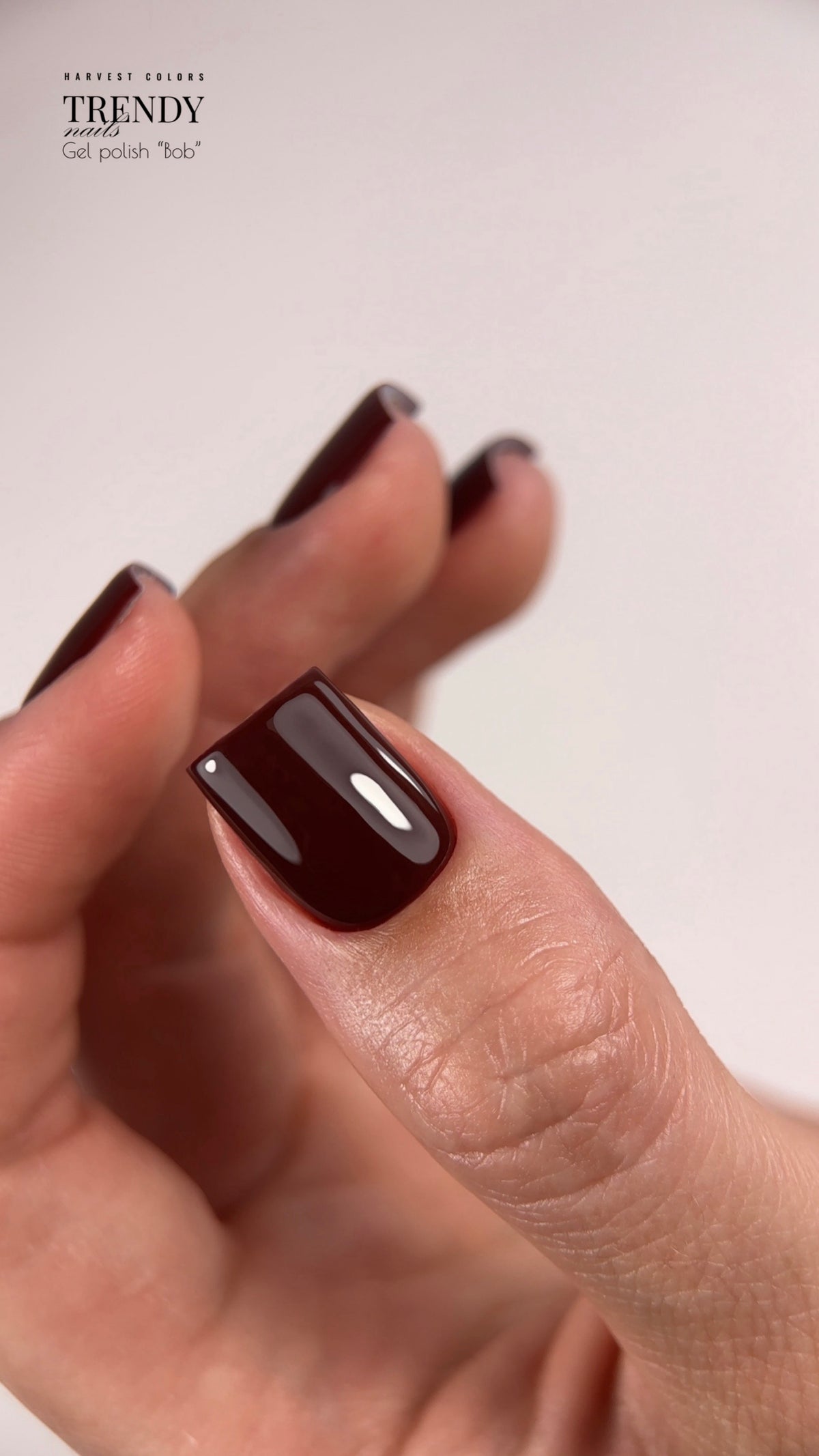 Коллекция гель-лаков Vintage Chic (5x8мл) от Trendy Nails